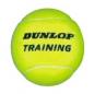Mobile Preview: Dunlop Training Tennisbälle 60er Pack