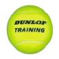 Preview: Dunlop Training Tennisbälle 60er Pack