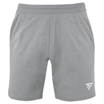 Tecnifibre Team Short silver