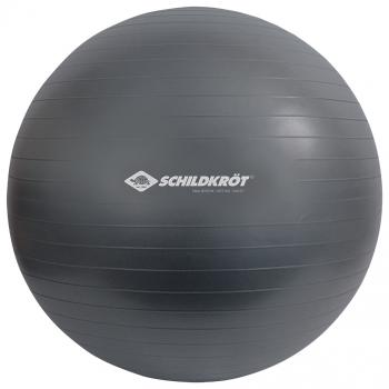 Schildkröt Fitness Gymnastikball 75 cm