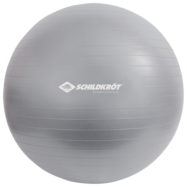 Schildkröt Fitness Gymnastikball 65cm